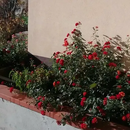 Casa Dell'oleandro